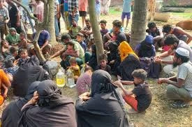 যুদ্ধবিরতির পর জম্মু-কাশ্মীরে ভারতীয় বাহিনীর অভিযান, তিনজন নিহত