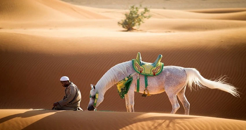 মুসাফির হলে নামাজ কসর: মূল বিধান ও সাধারণ ভুলের সহজ ব্যাখ্যা